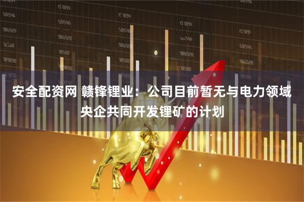 安全配资网 赣锋锂业:公司目前暂无与电力领域央企共同开发锂矿的计划