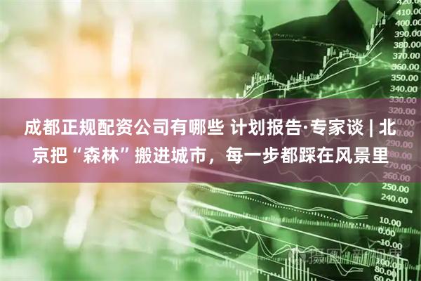 成都正规配资公司有哪些 计划报告·专家谈 | 北京把“森林”搬进城市，每一步都踩在风景里