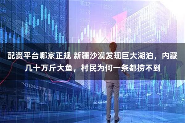 配资平台哪家正规 新疆沙漠发现巨大湖泊，内藏几十万斤大鱼，村民为何一条都捞不到