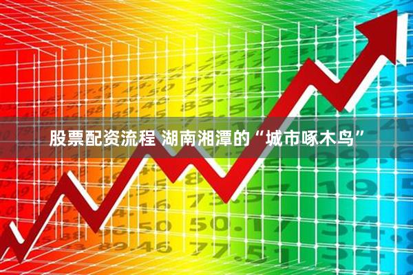 股票配资流程 湖南湘潭的“城市啄木鸟”